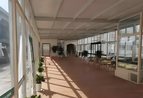 公主翻身记：风鸣天下